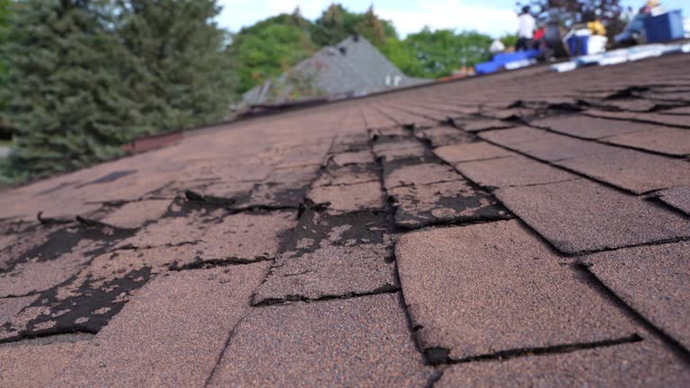 Best Sheet Metal Roofing  in Fort Valley, AZ